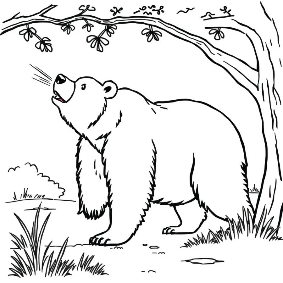 Cool Summer Breeze Grizzly Bear Coloring Page